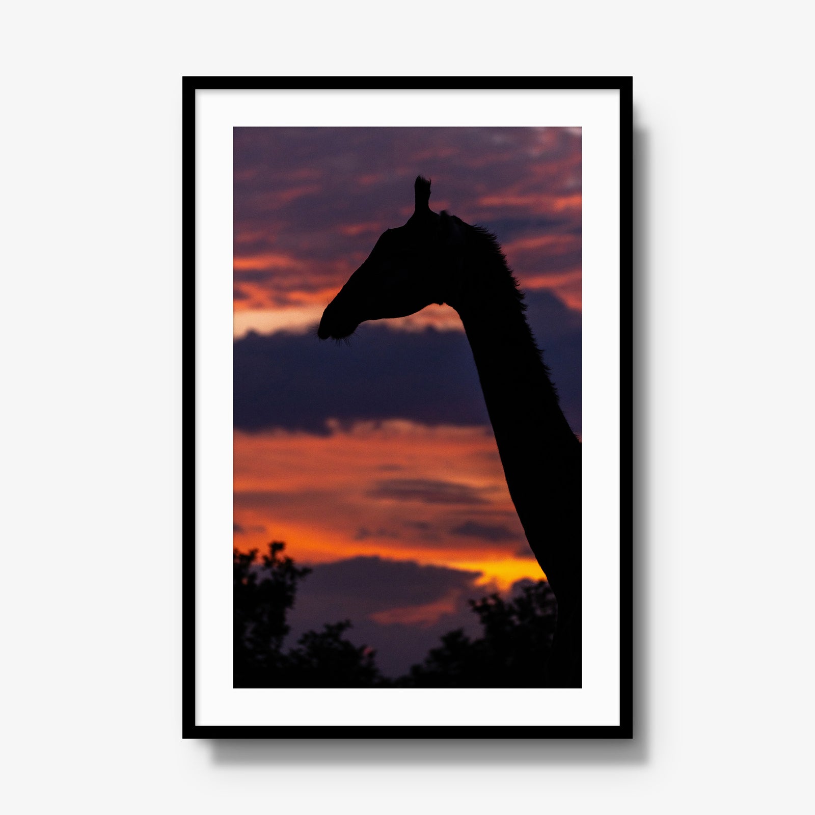 Sundowner