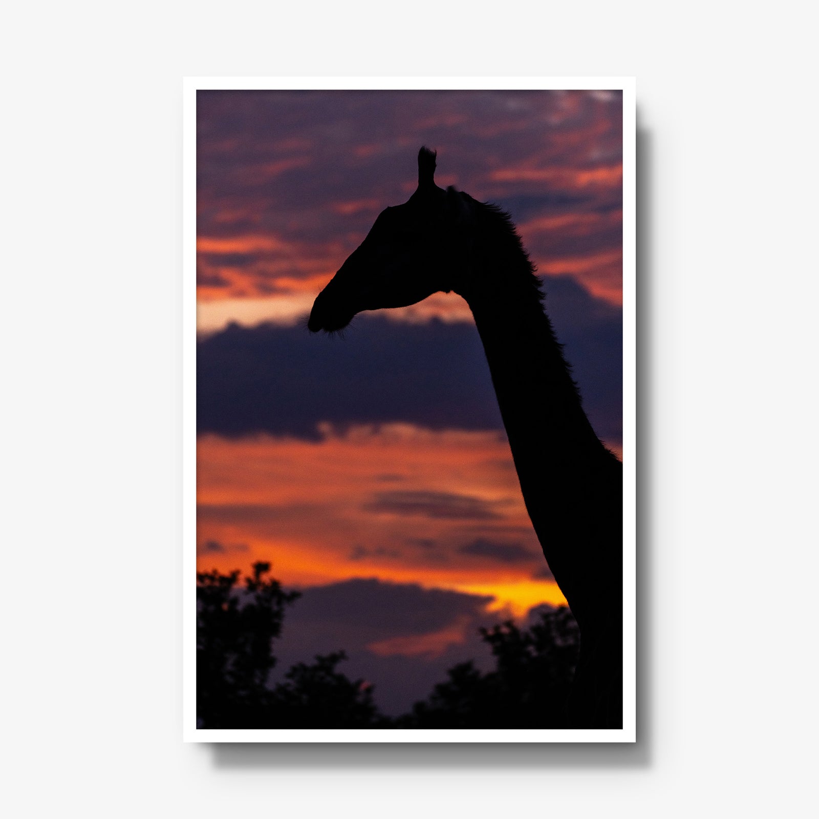 Sundowner