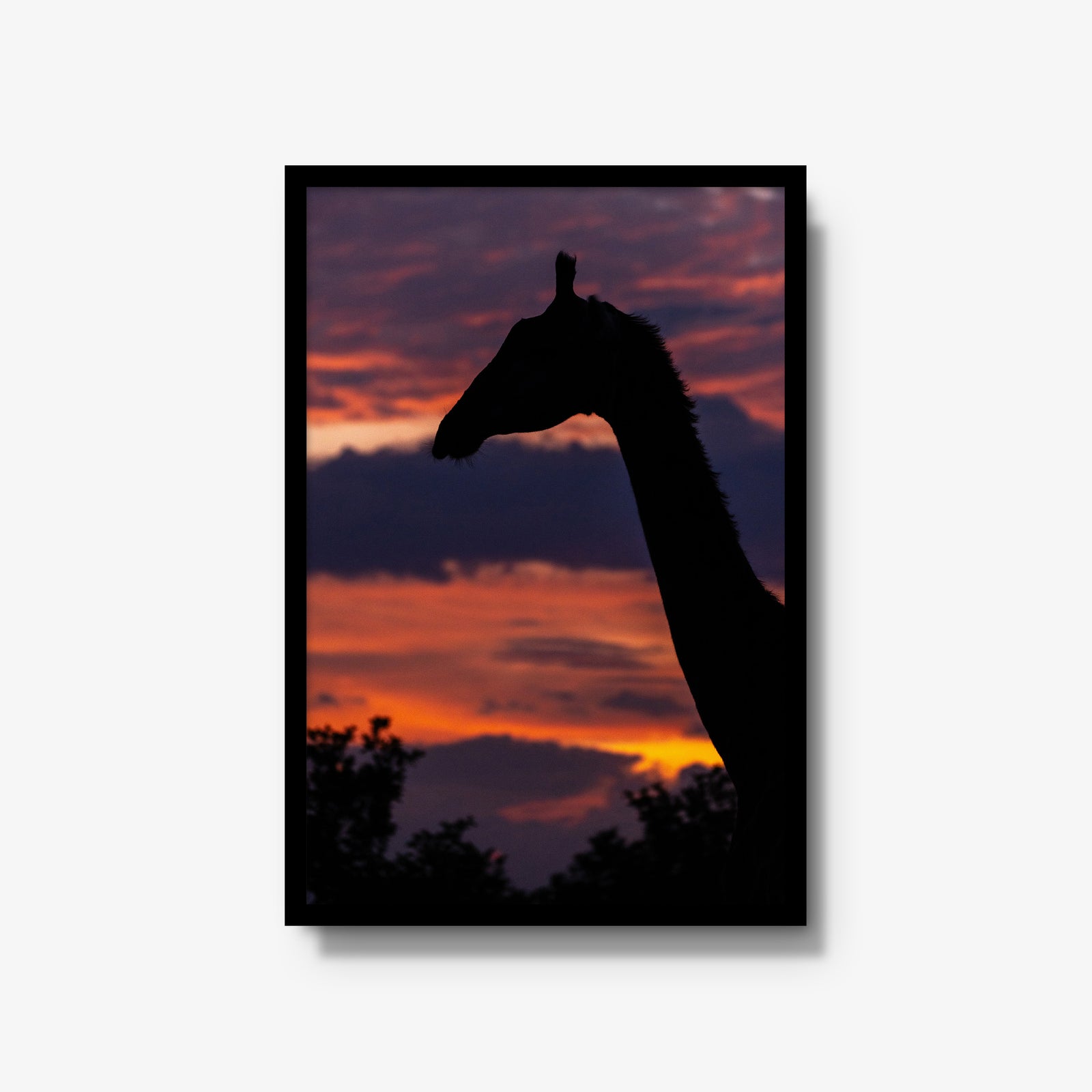 Sundowner