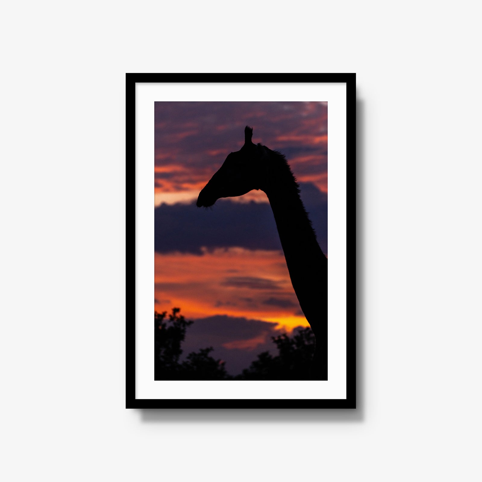 Sundowner