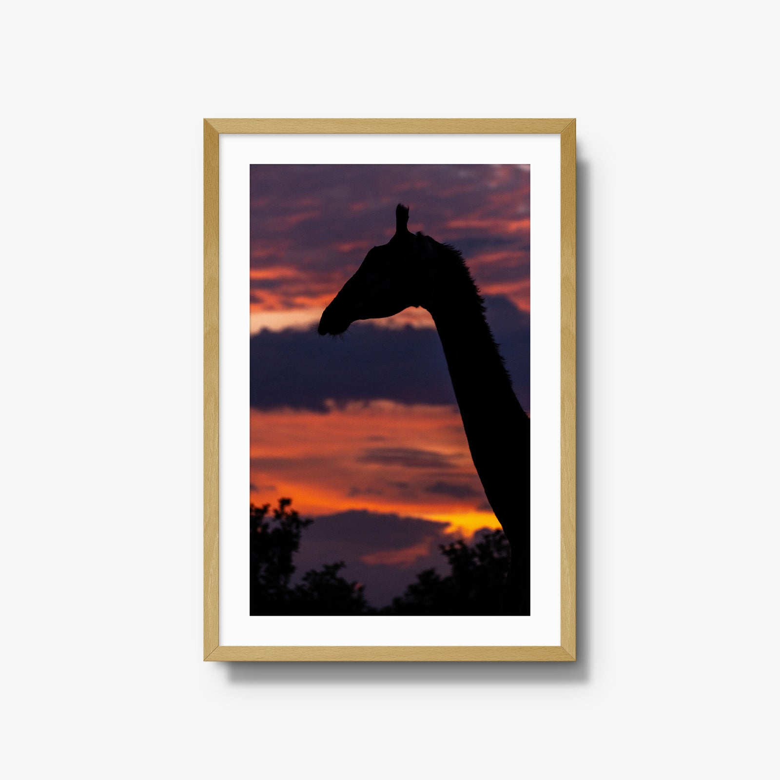 Sundowner