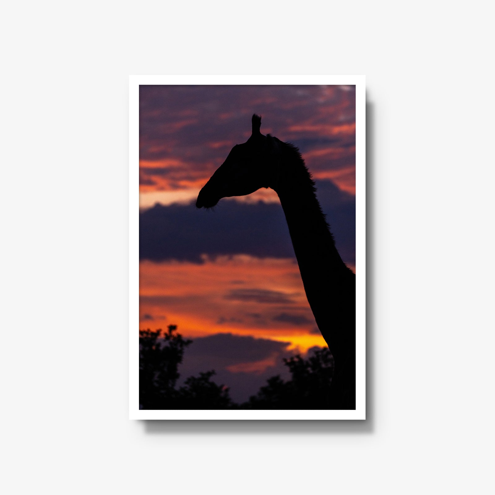 Sundowner