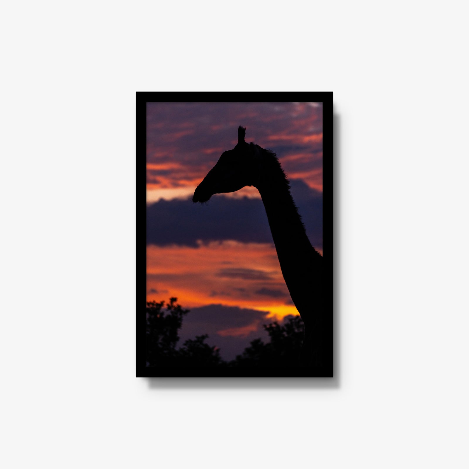 Sundowner