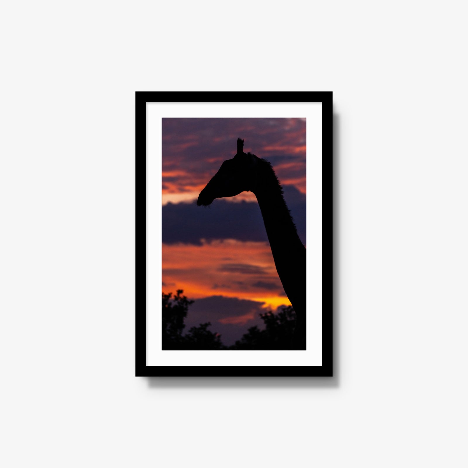 Sundowner