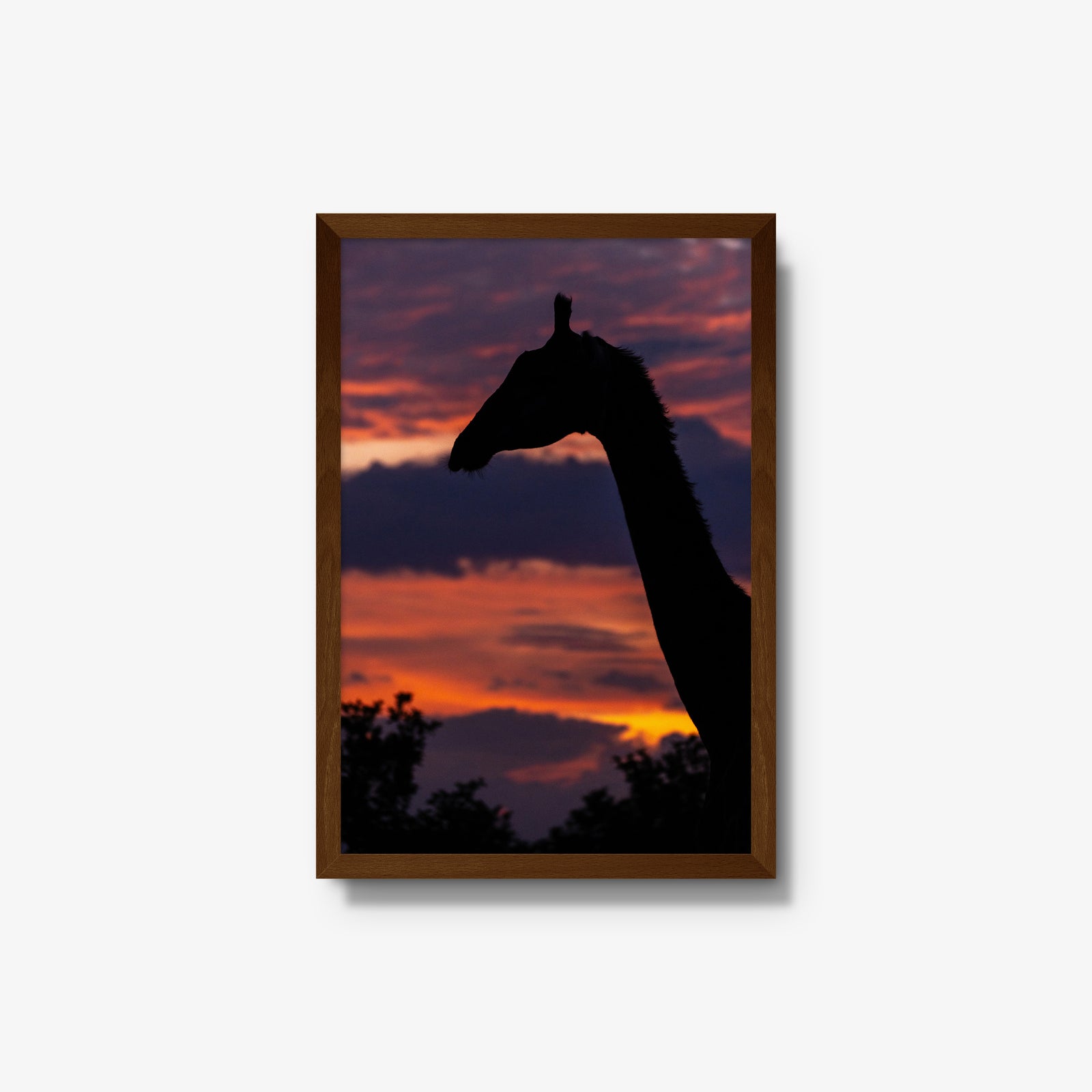 Sundowner