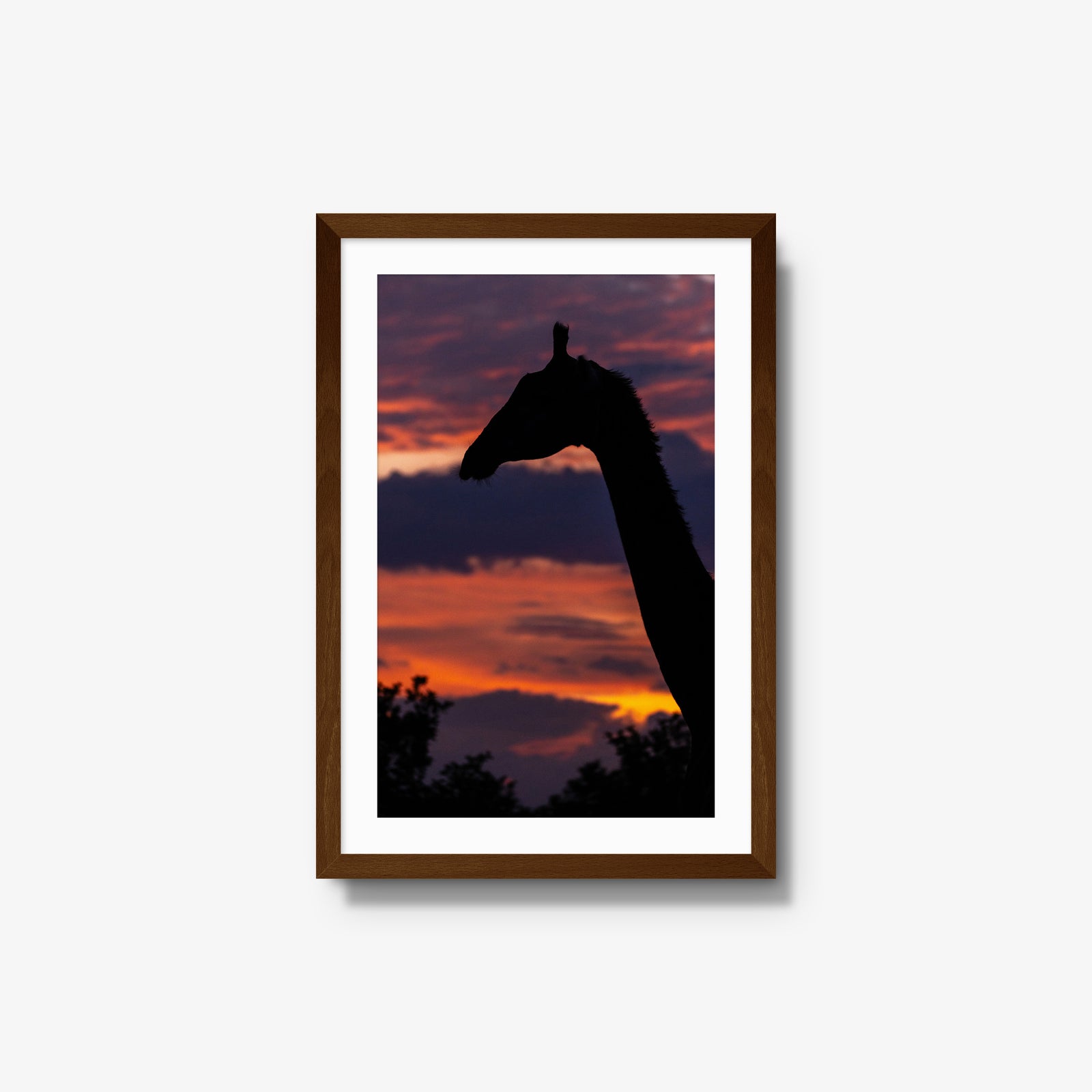 Sundowner