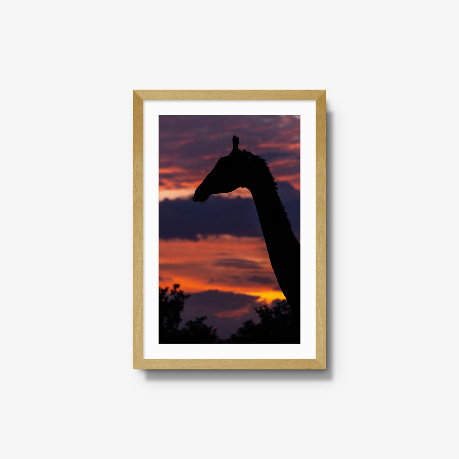 Sundowner