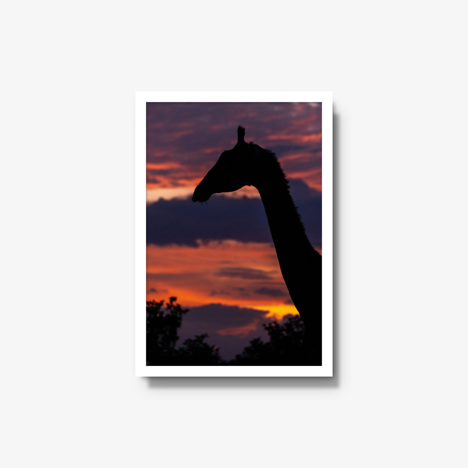 Sundowner