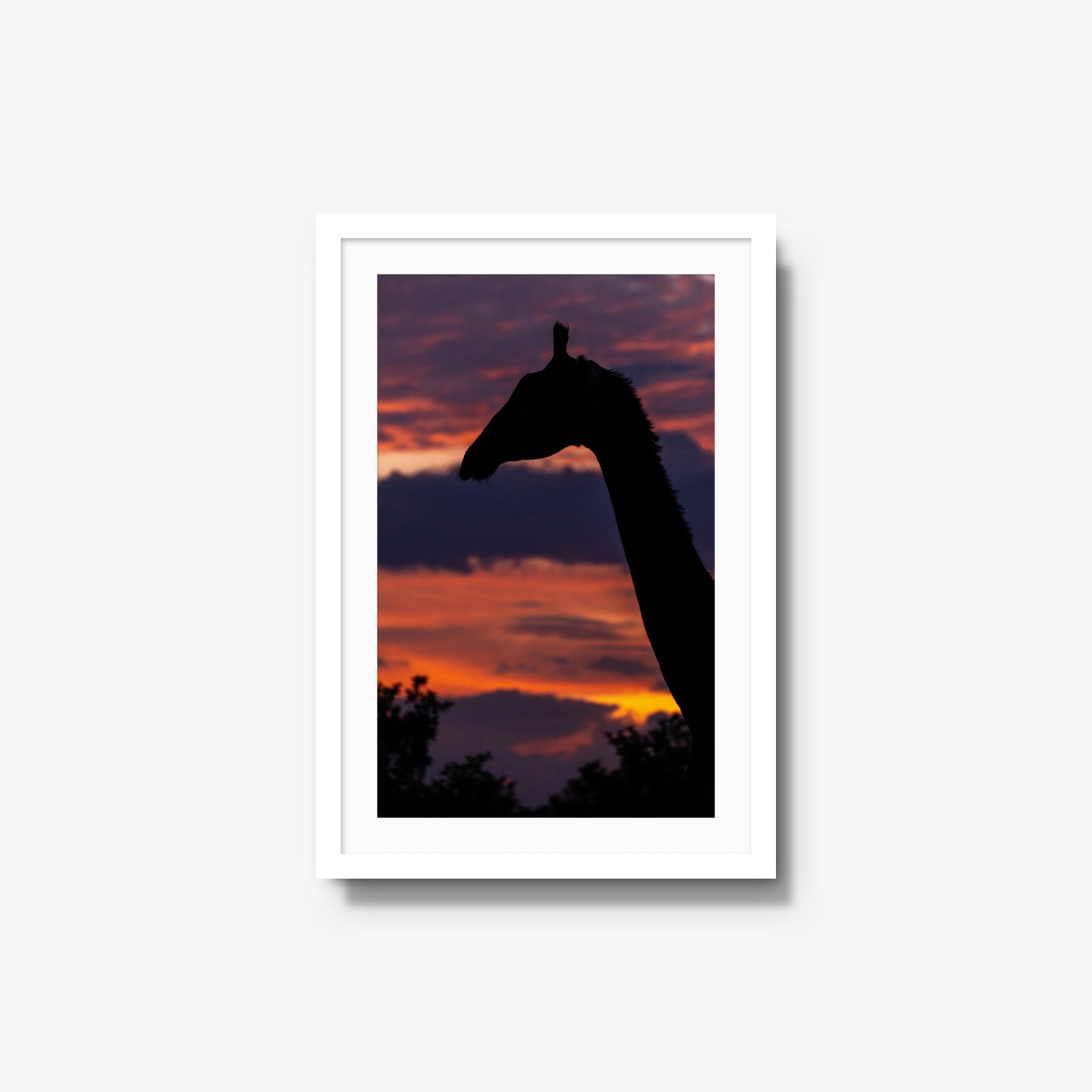 Sundowner