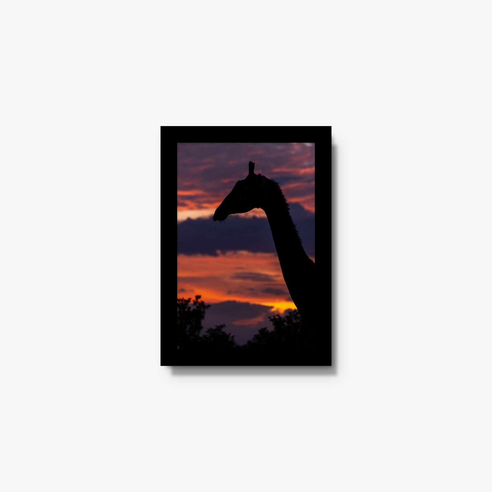 Sundowner