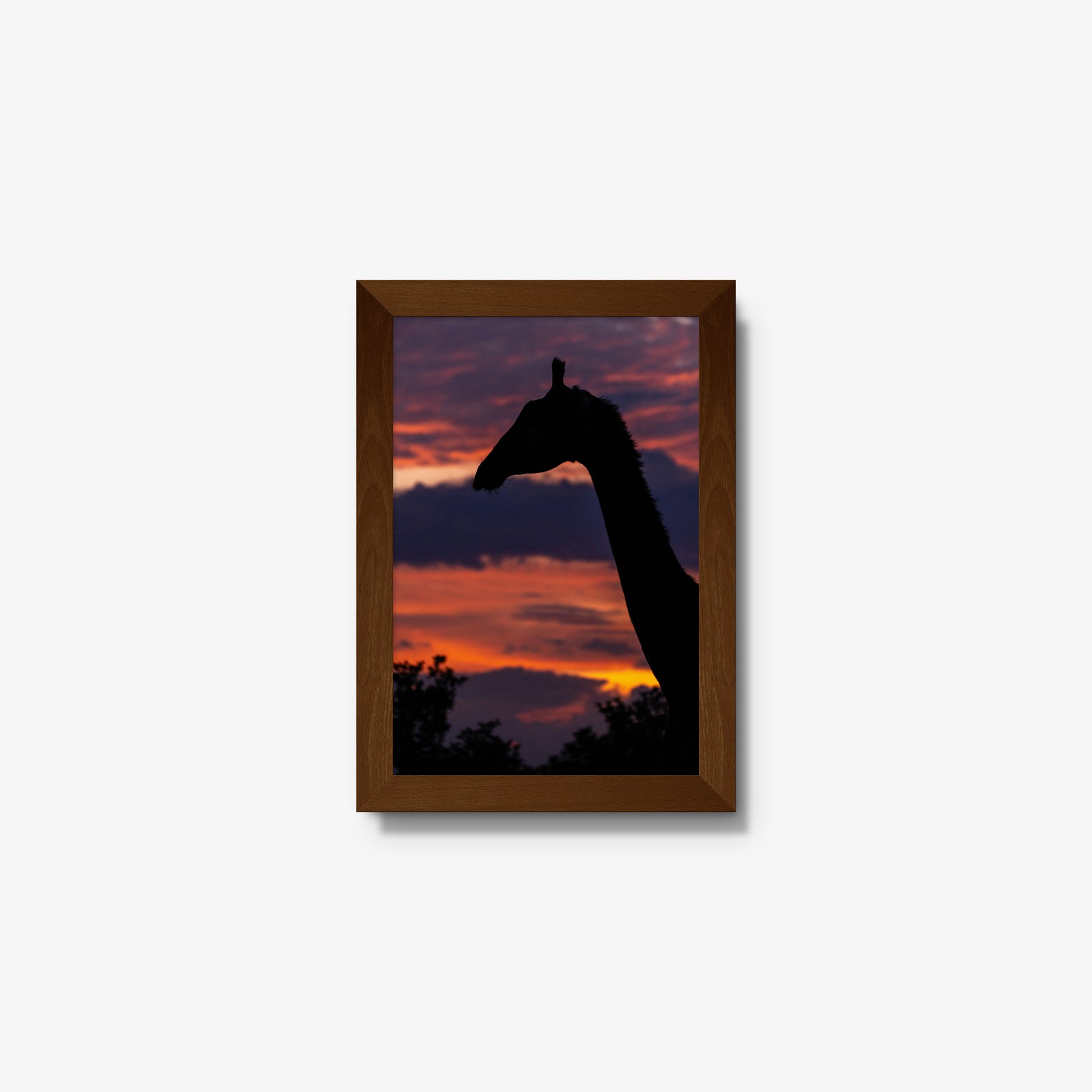 Sundowner