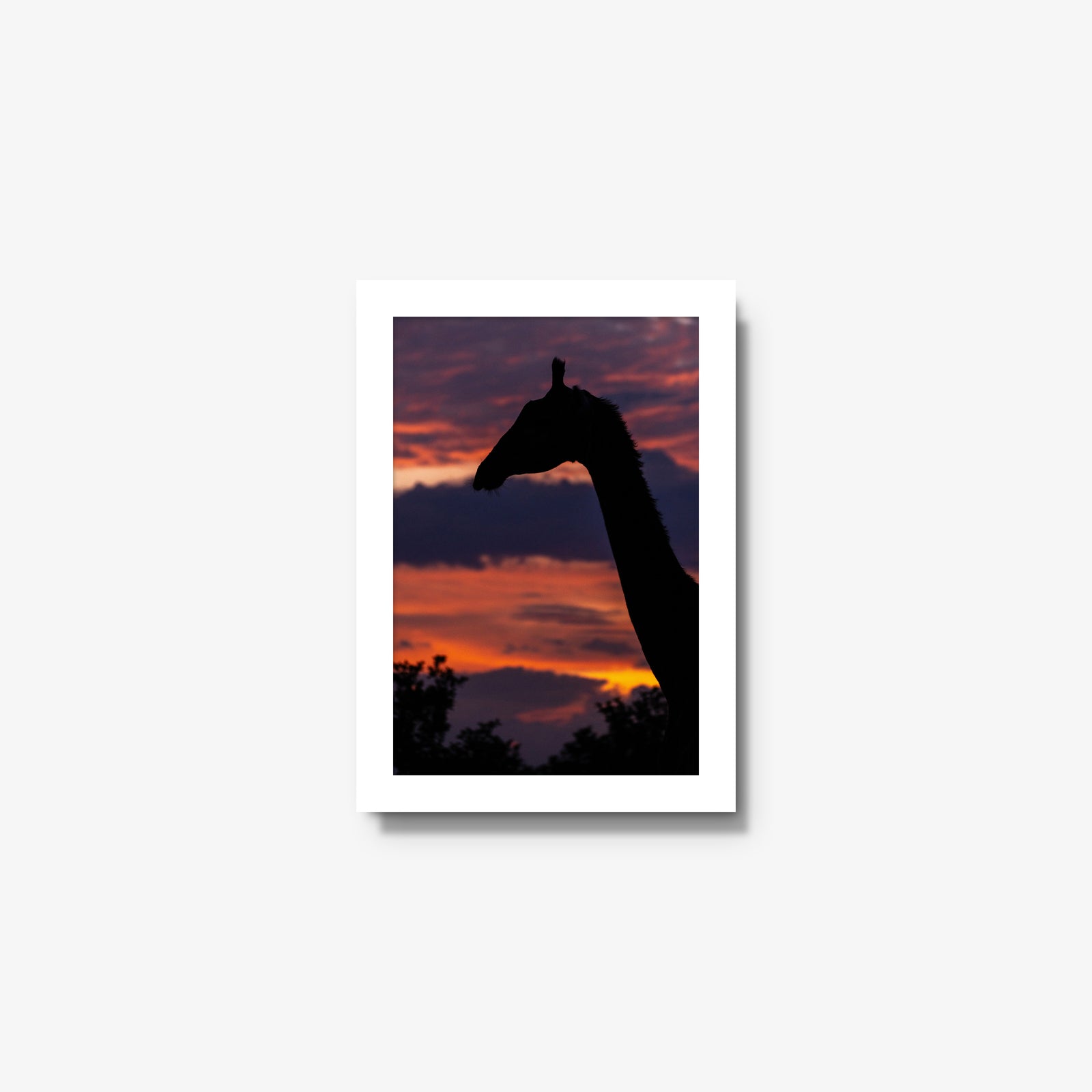 Sundowner