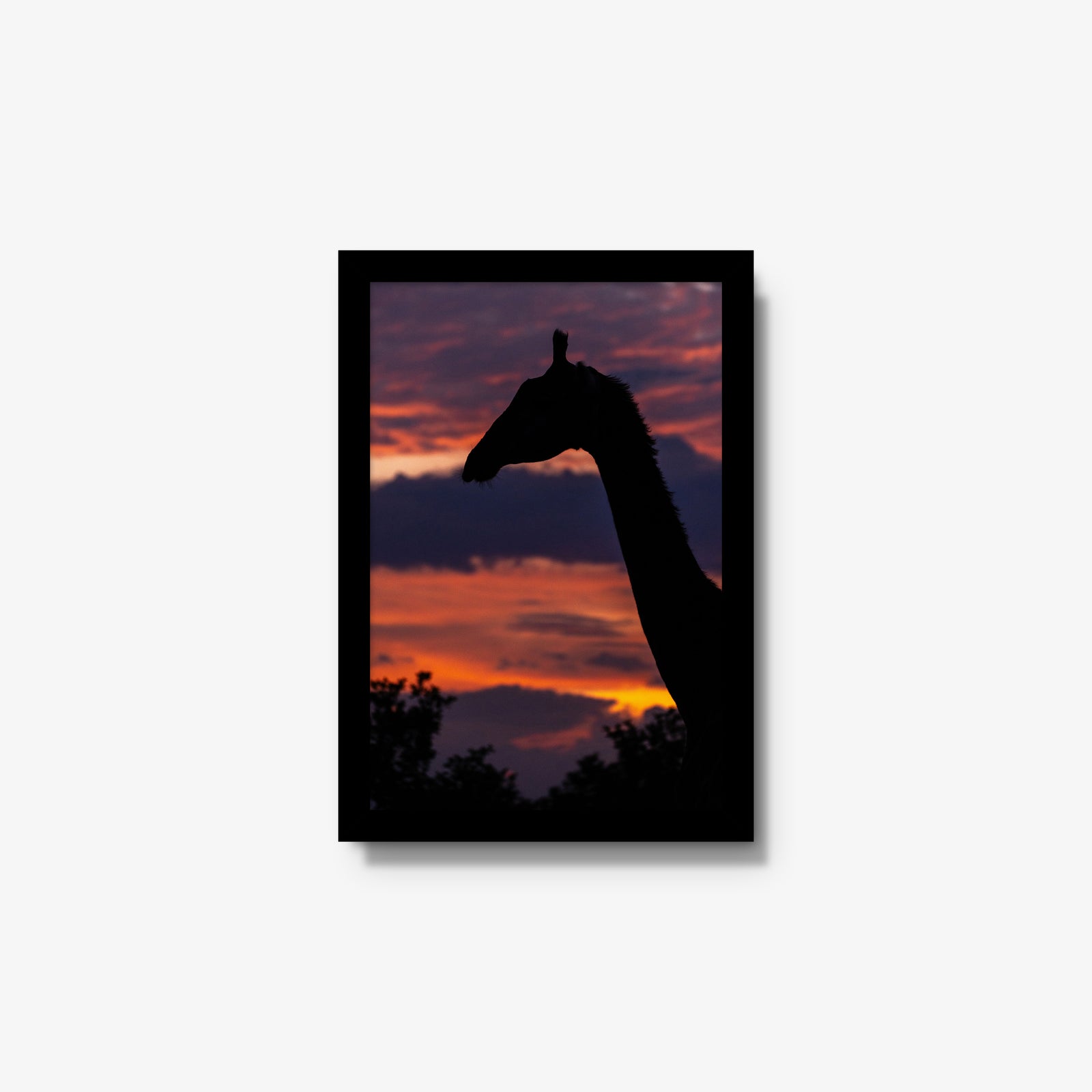 Sundowner