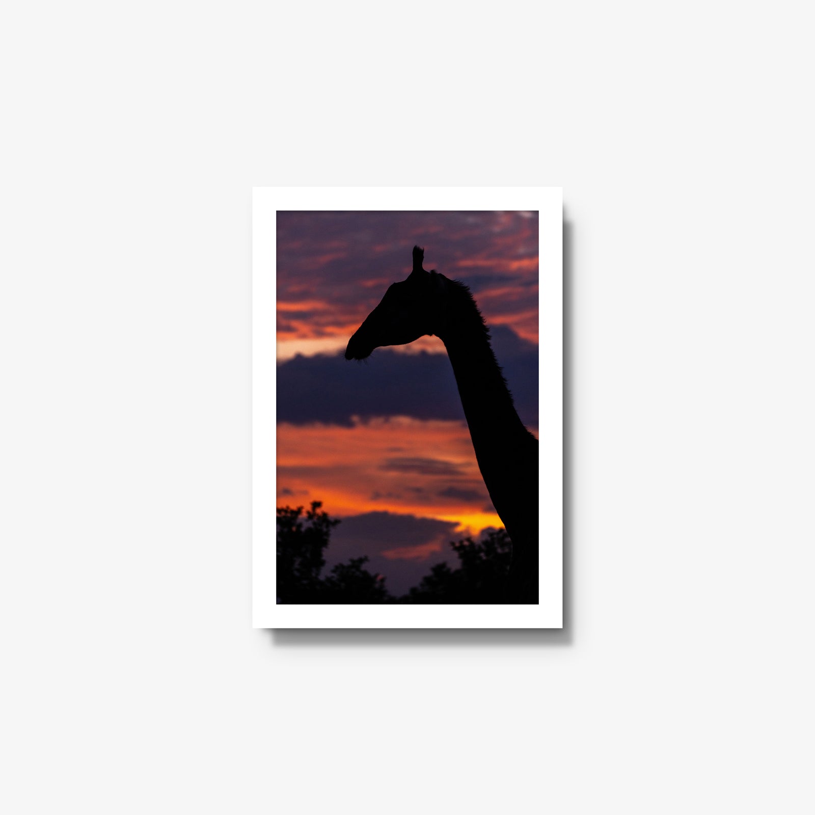 Sundowner