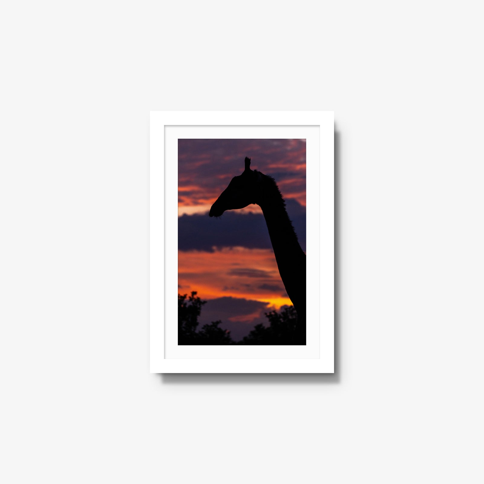 Sundowner