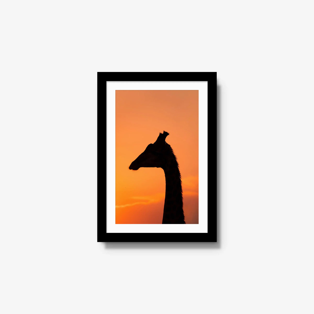 The Tall Shadow