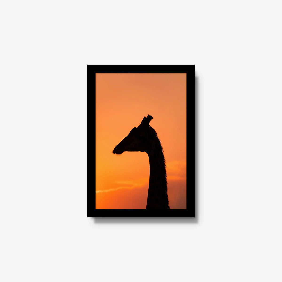 The Tall Shadow