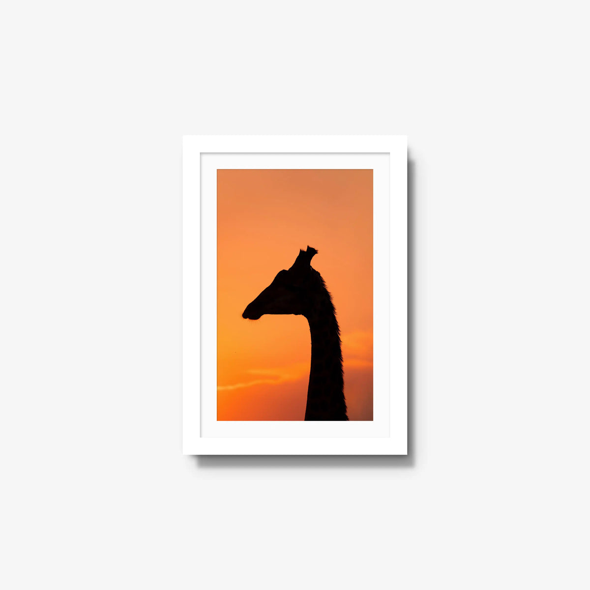 The Tall Shadow