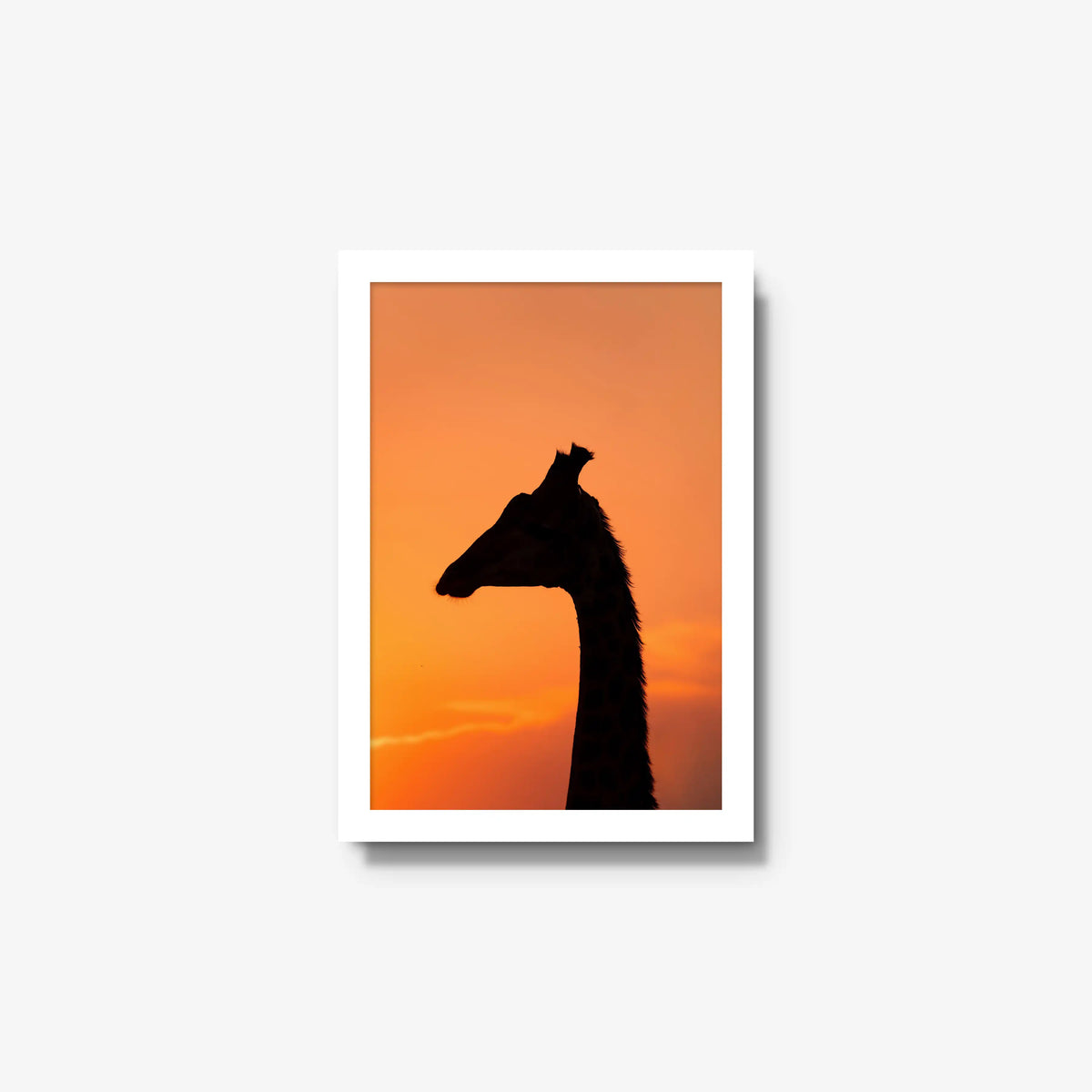 The Tall Shadow
