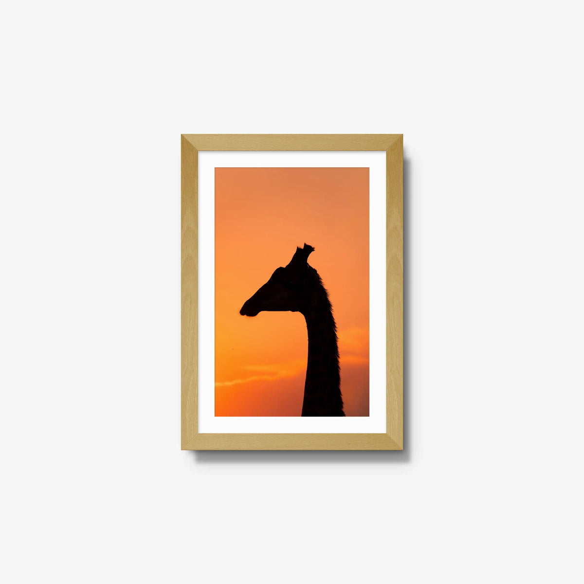 The Tall Shadow