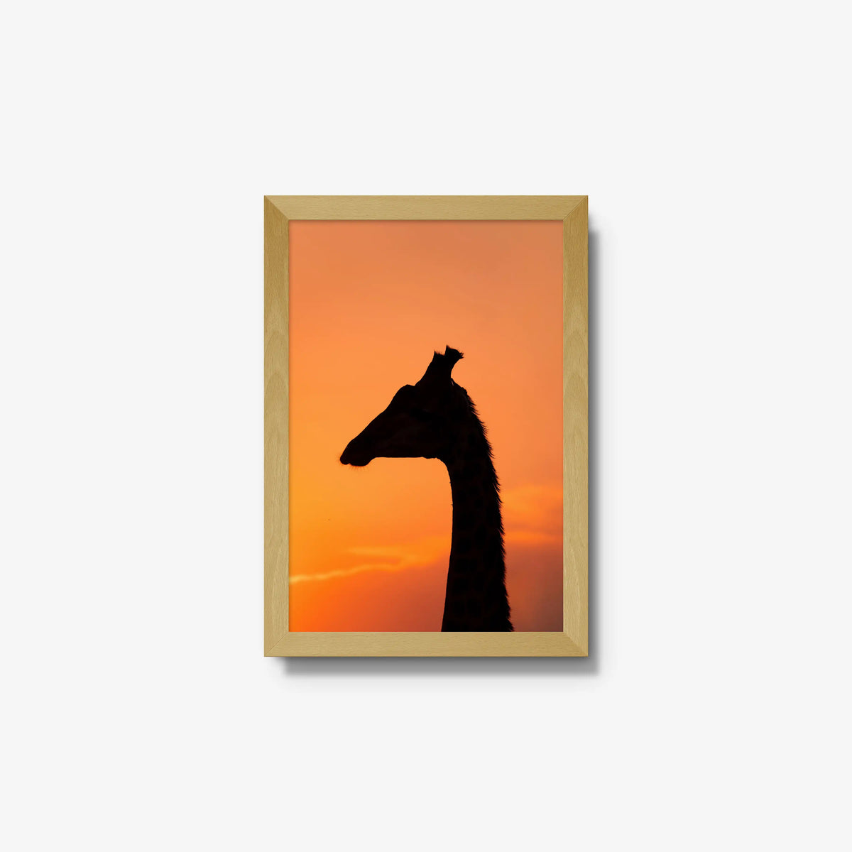 The Tall Shadow