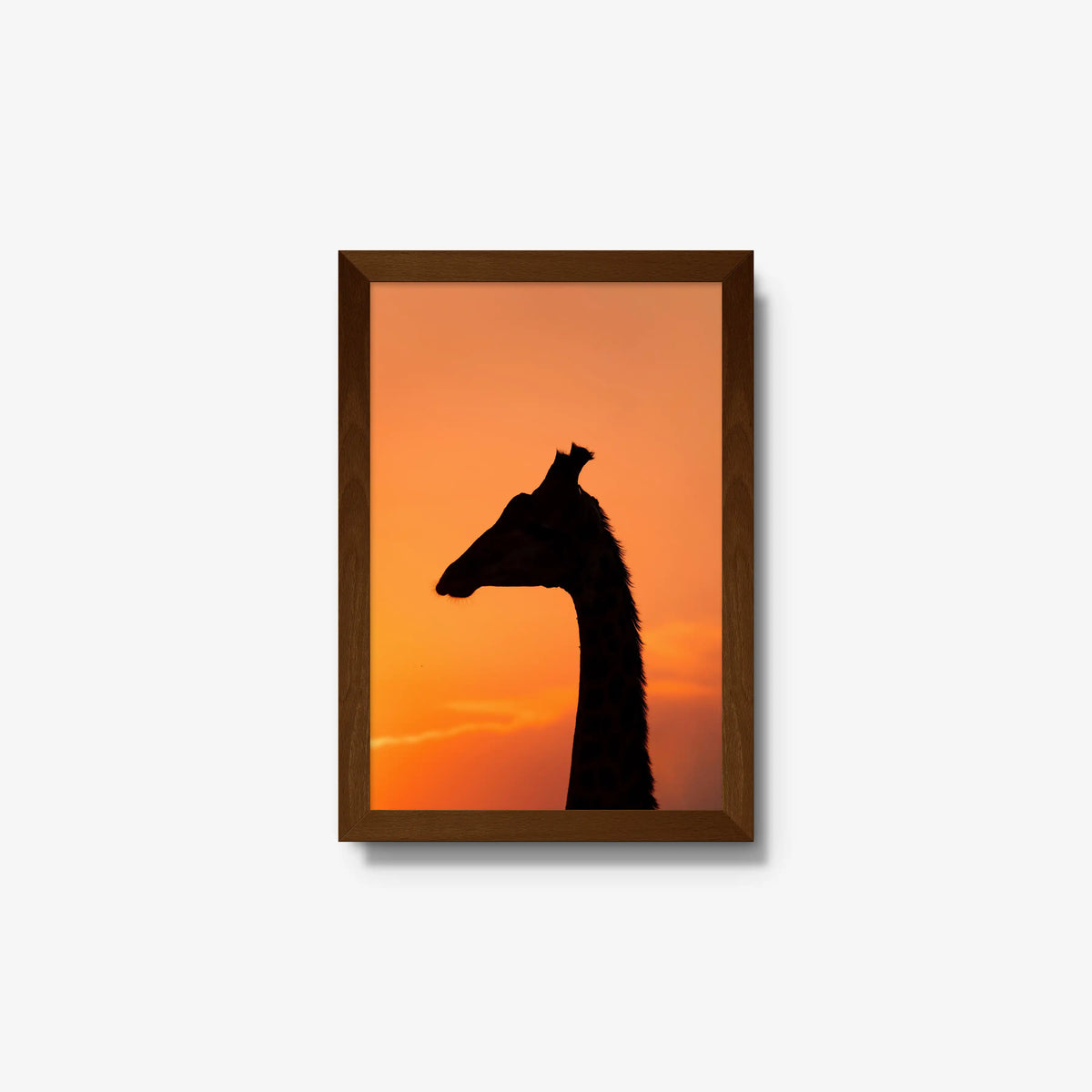 The Tall Shadow