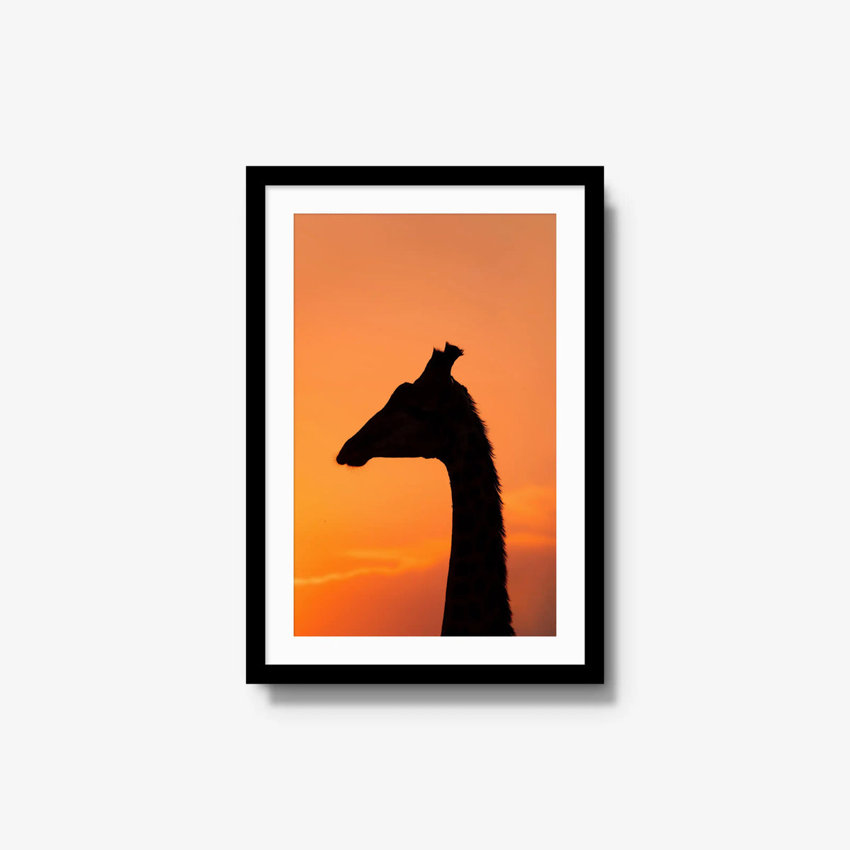 The Tall Shadow