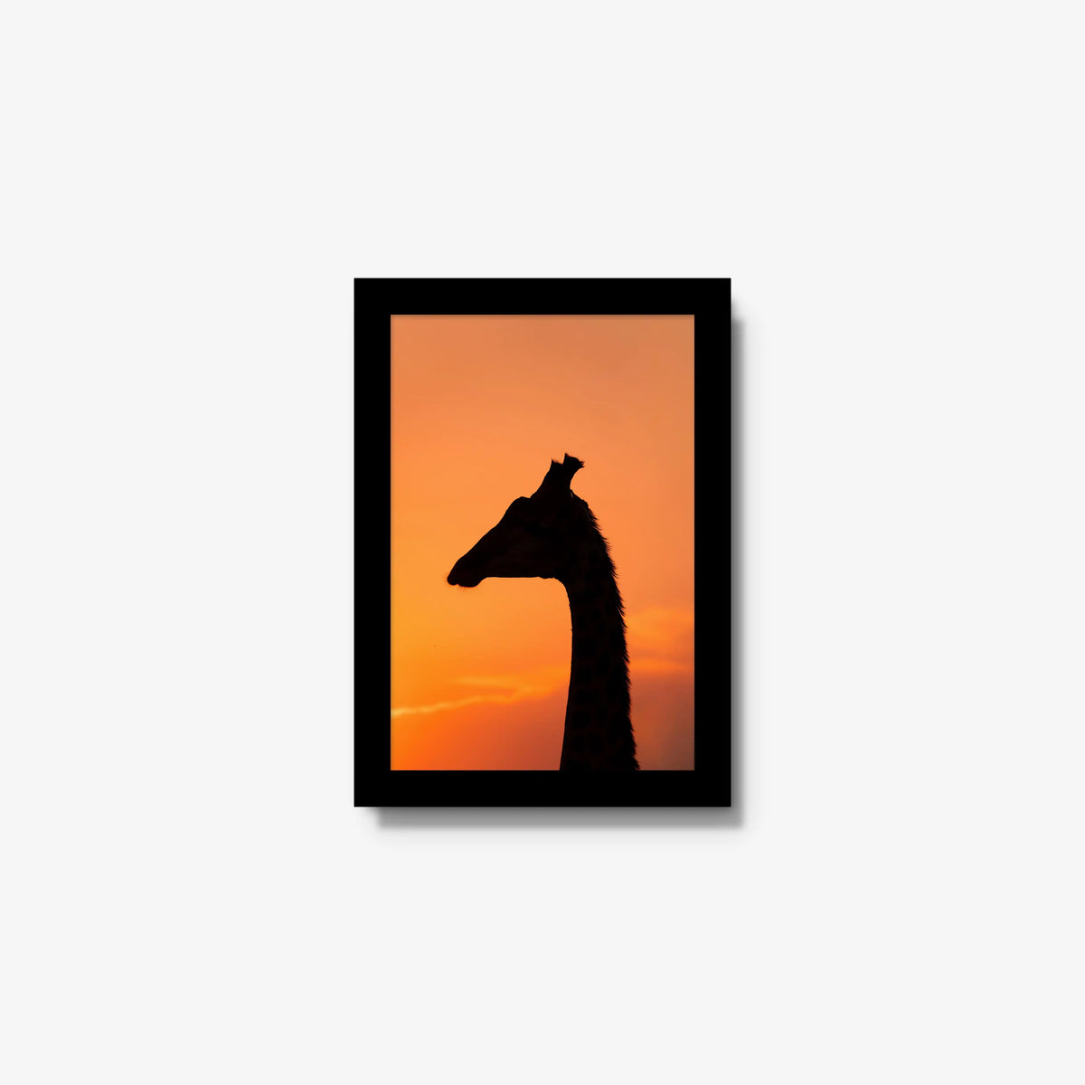 The Tall Shadow