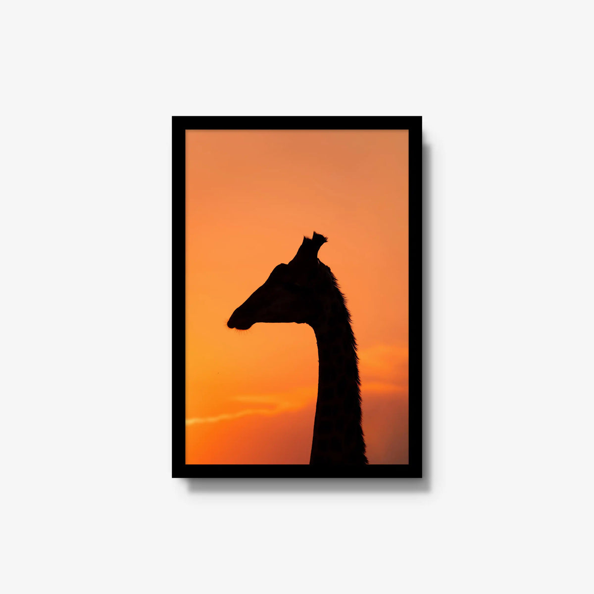 The Tall Shadow