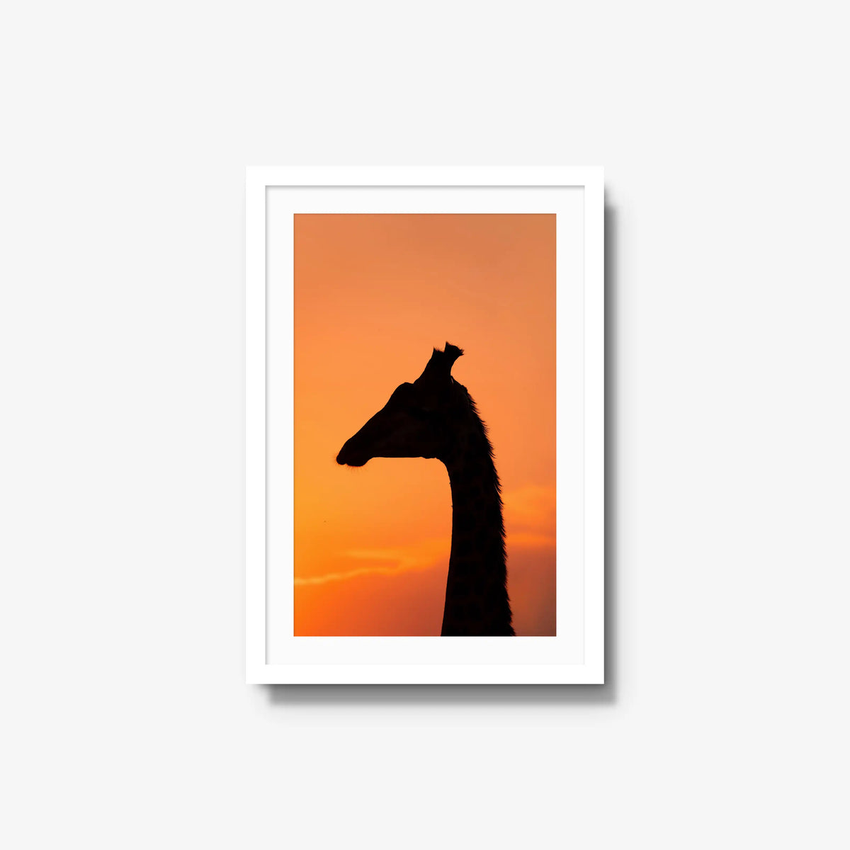 The Tall Shadow