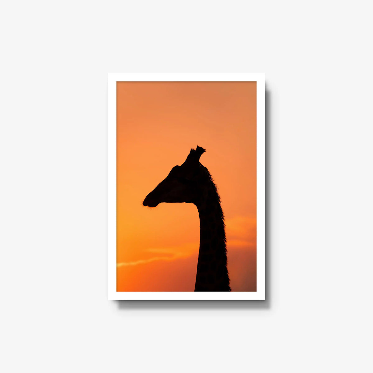 The Tall Shadow