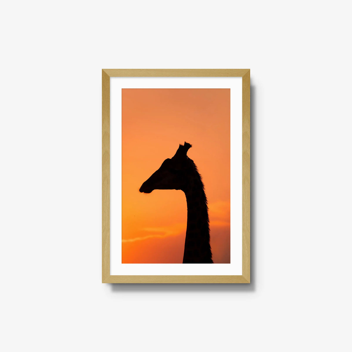 The Tall Shadow