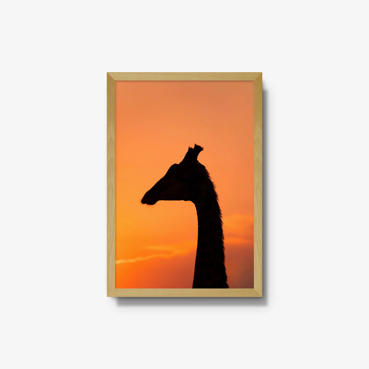 The Tall Shadow