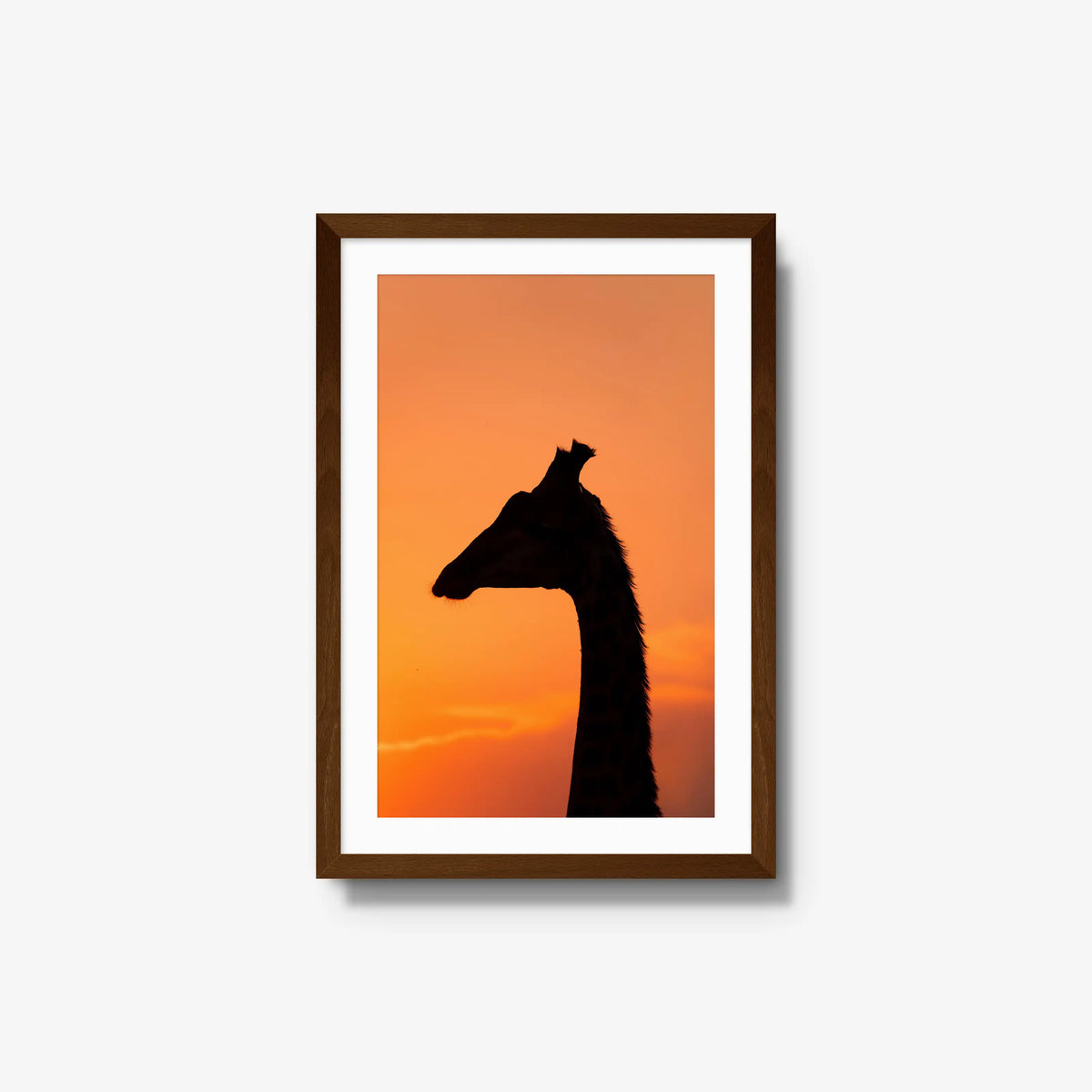 The Tall Shadow