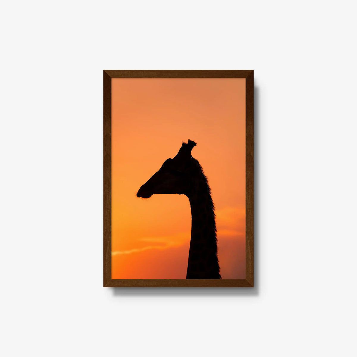 The Tall Shadow