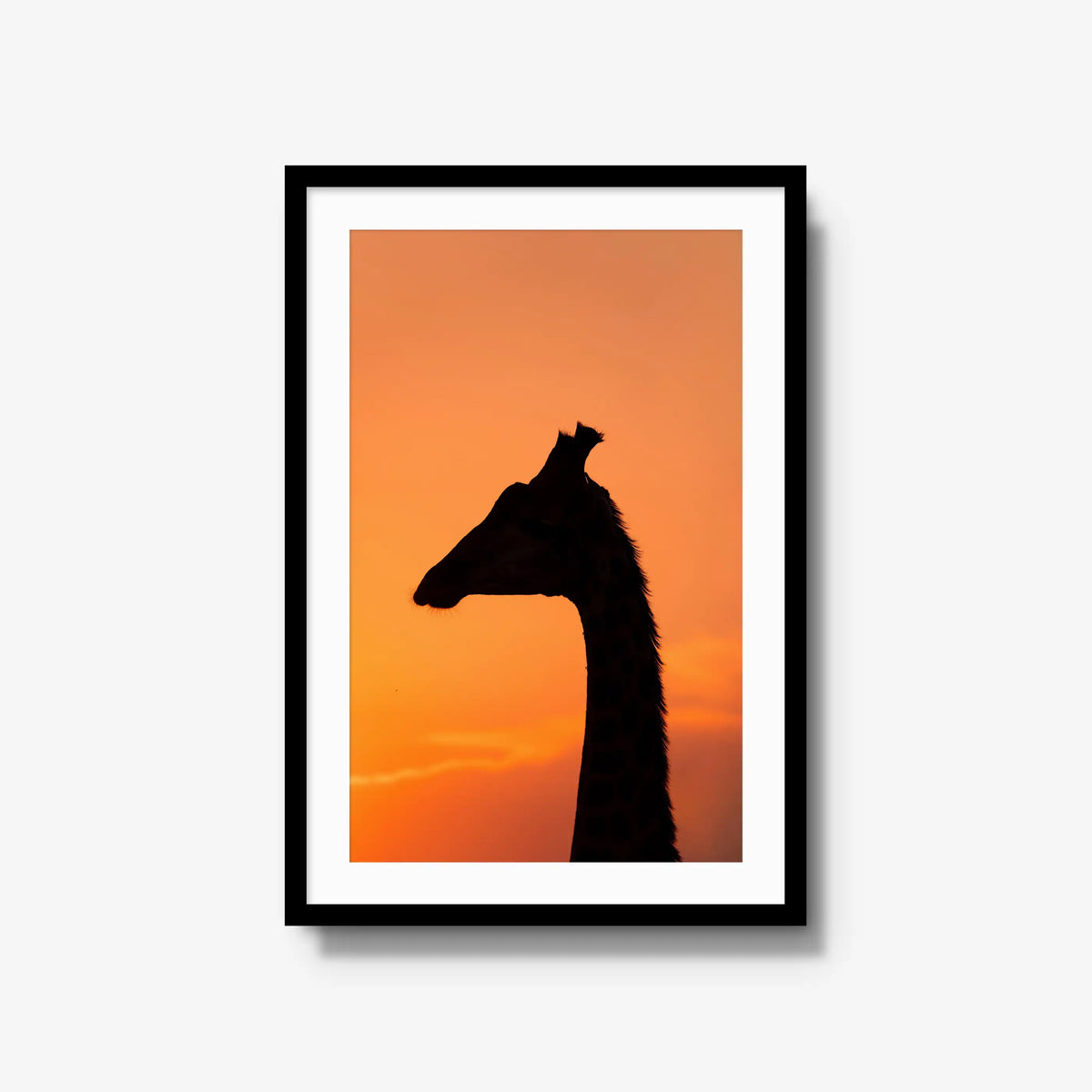 The Tall Shadow
