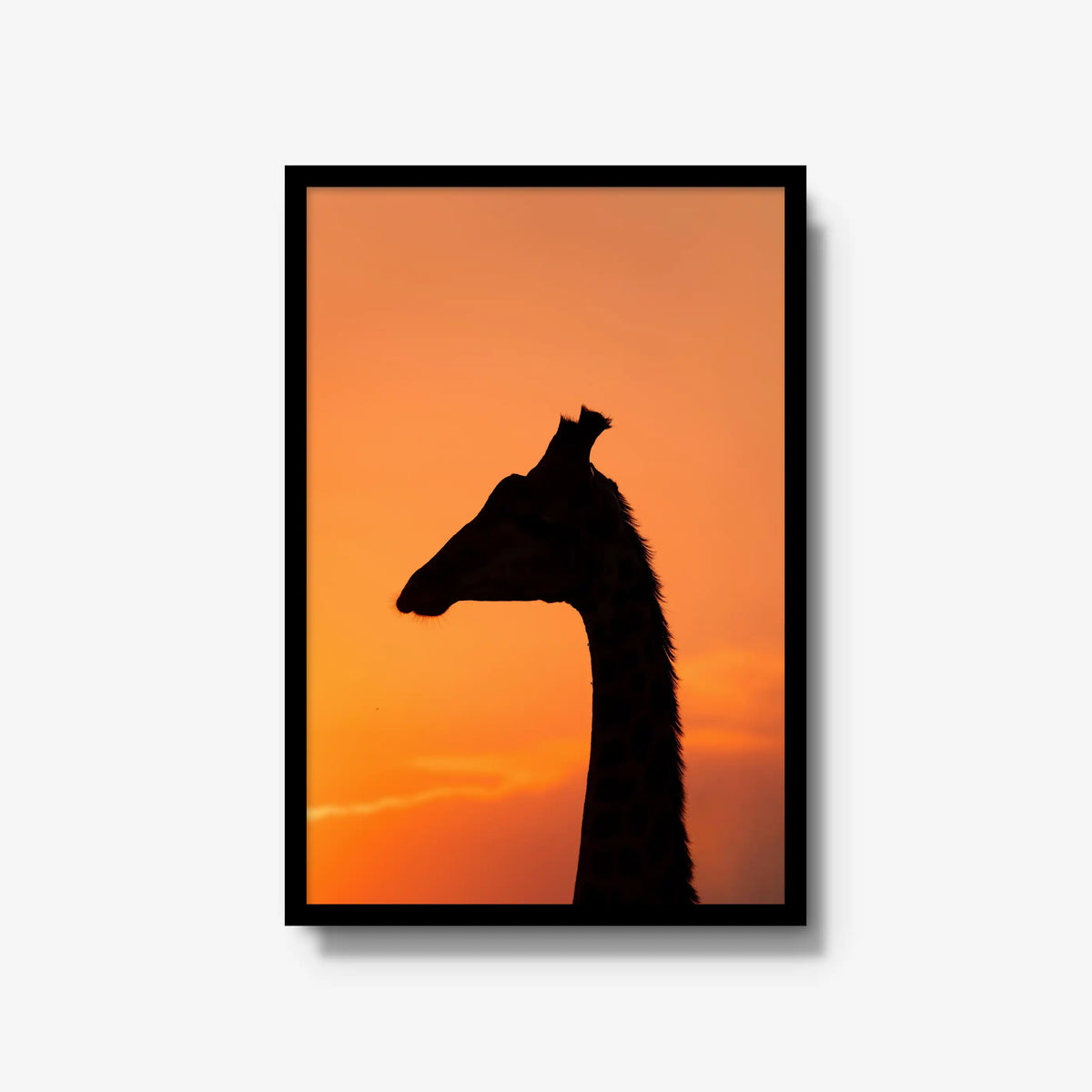 The Tall Shadow