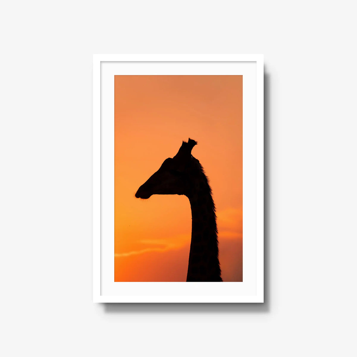 The Tall Shadow