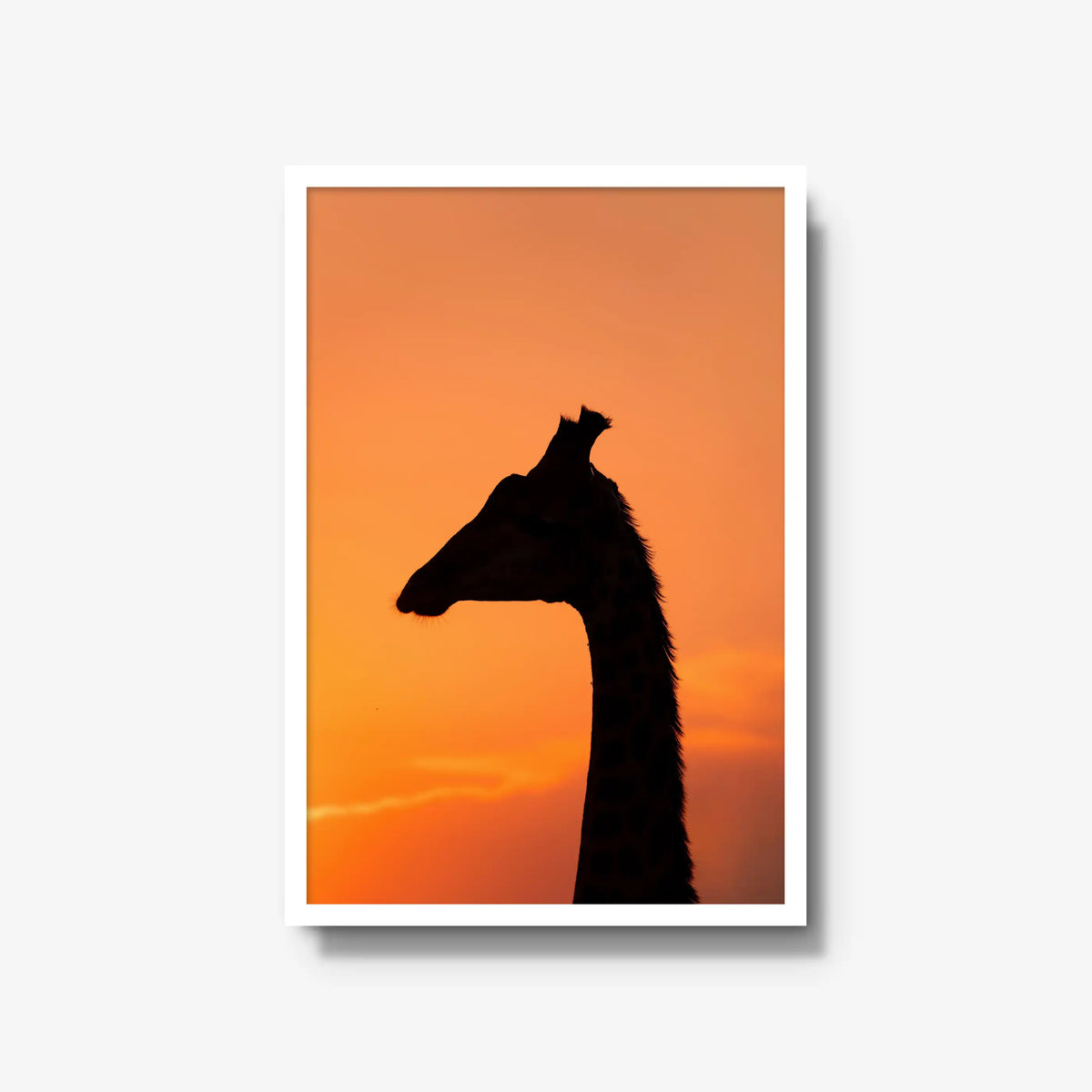The Tall Shadow
