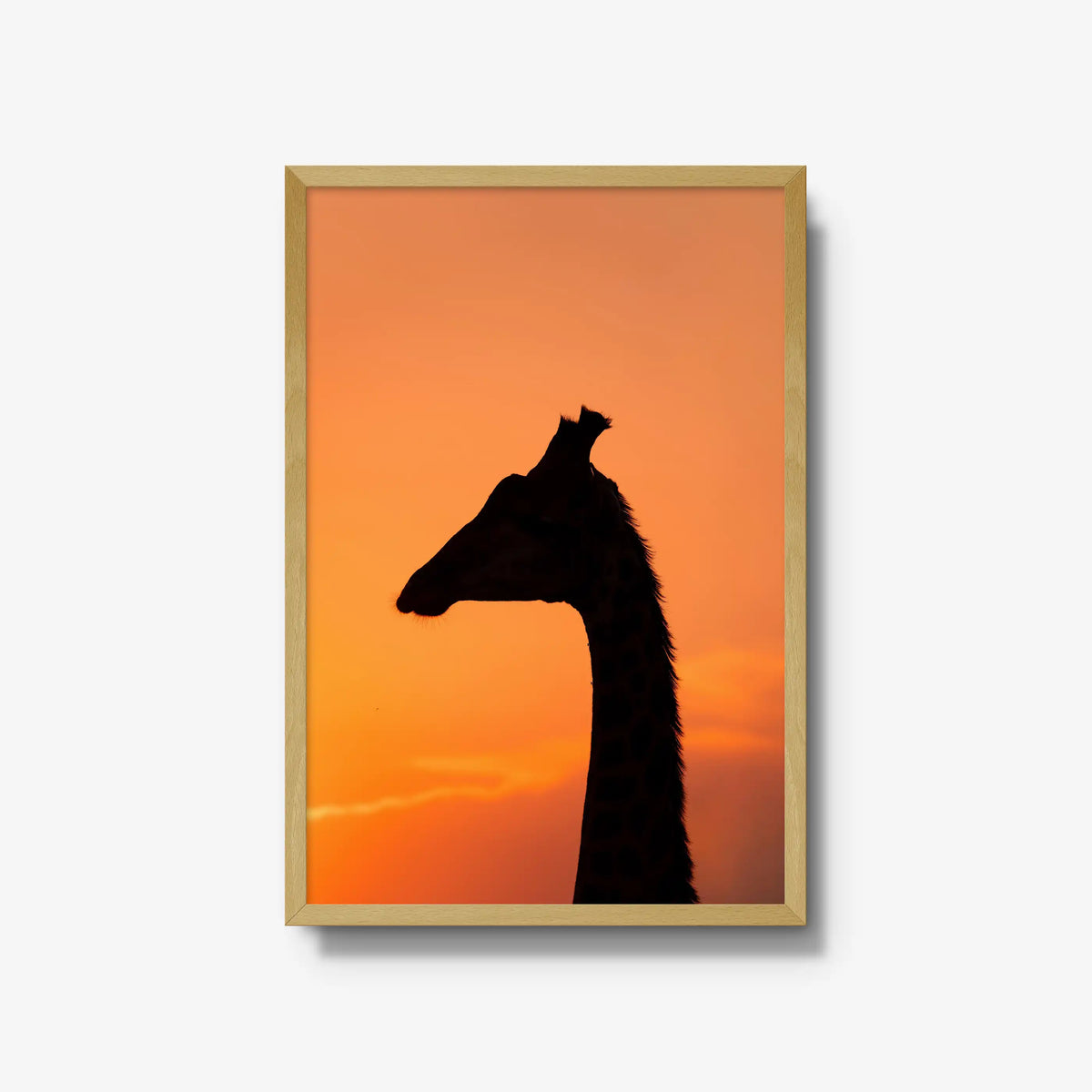 The Tall Shadow
