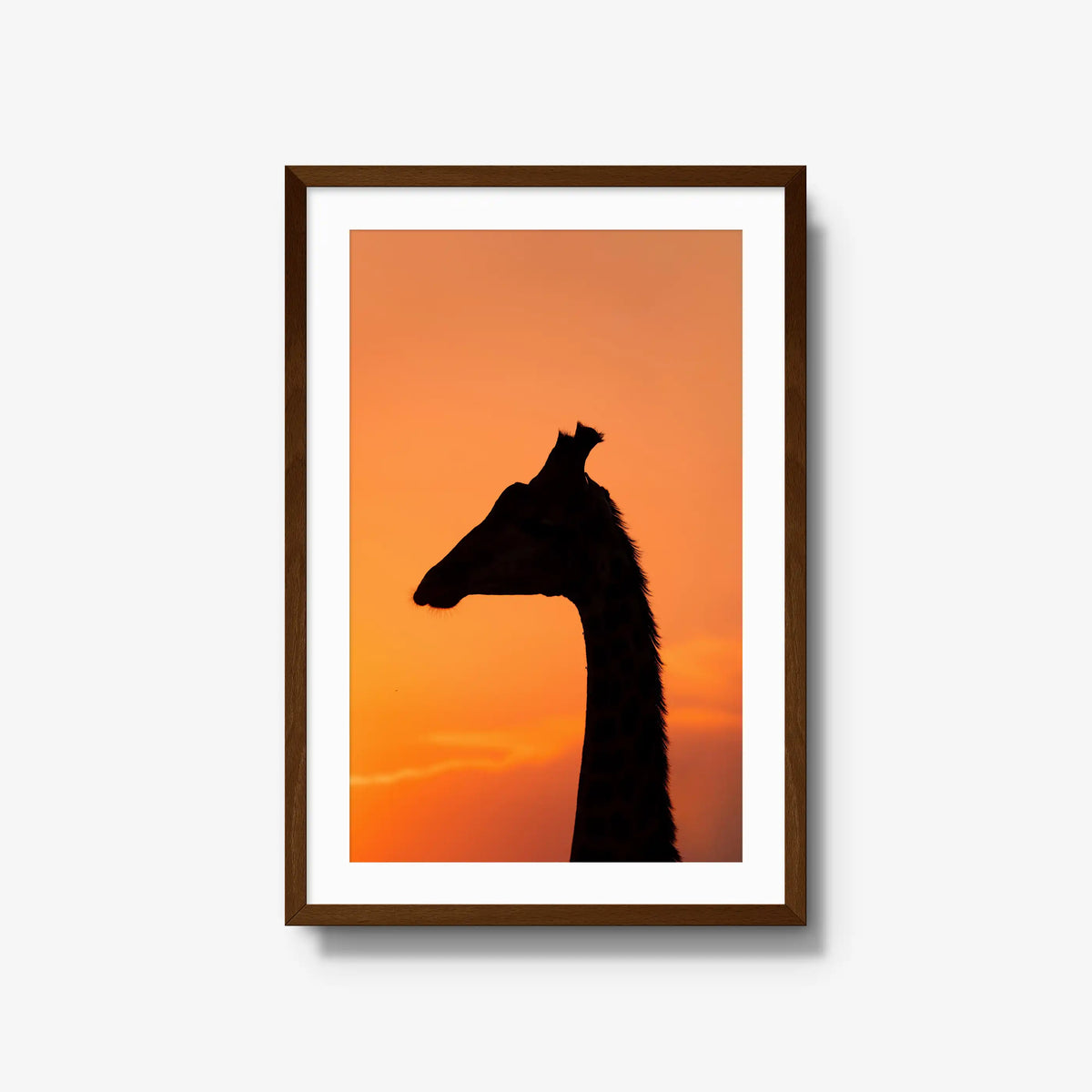 The Tall Shadow