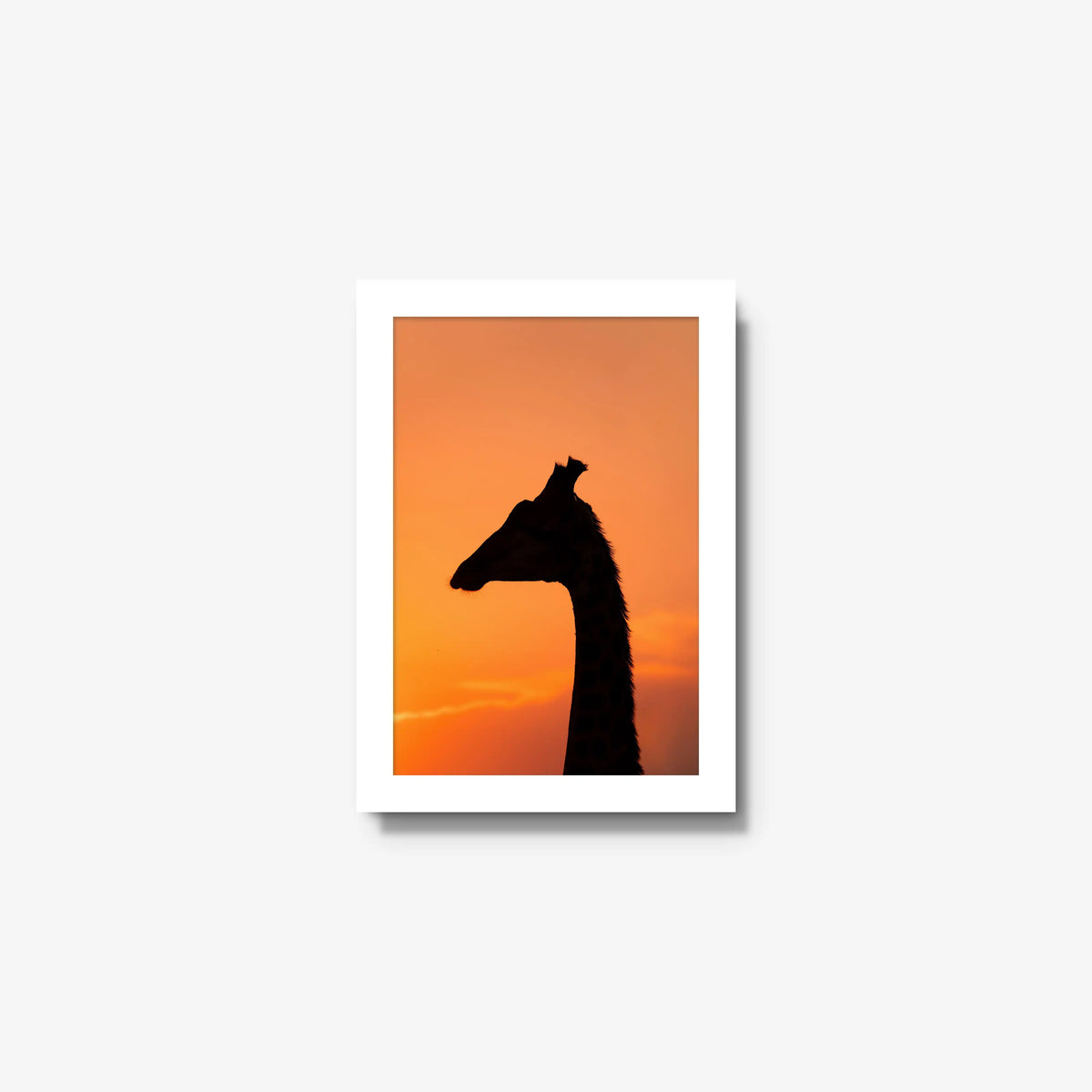 The Tall Shadow