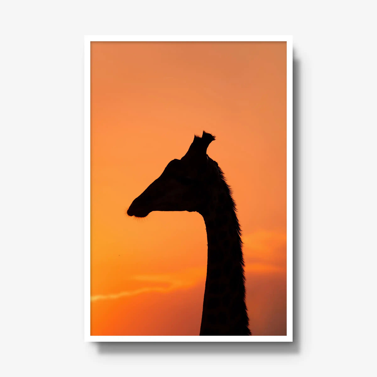 The Tall Shadow