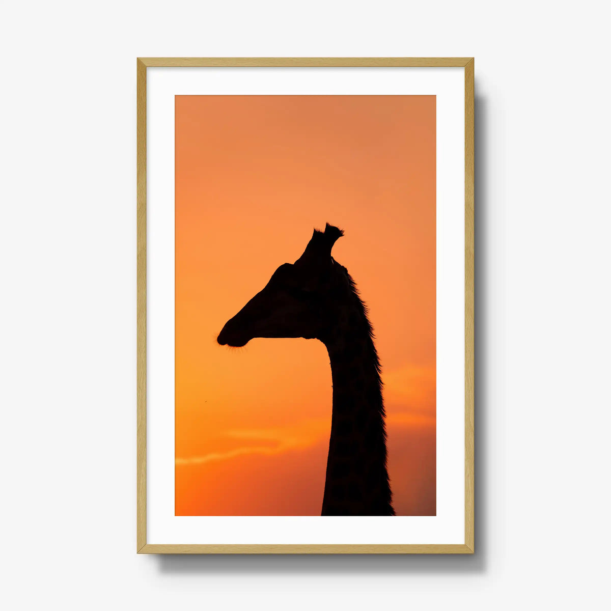The Tall Shadow