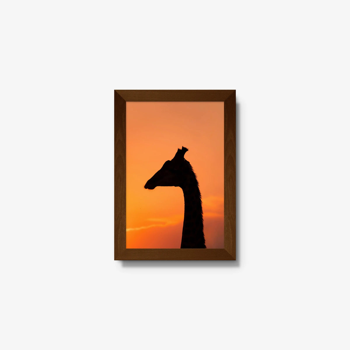 The Tall Shadow