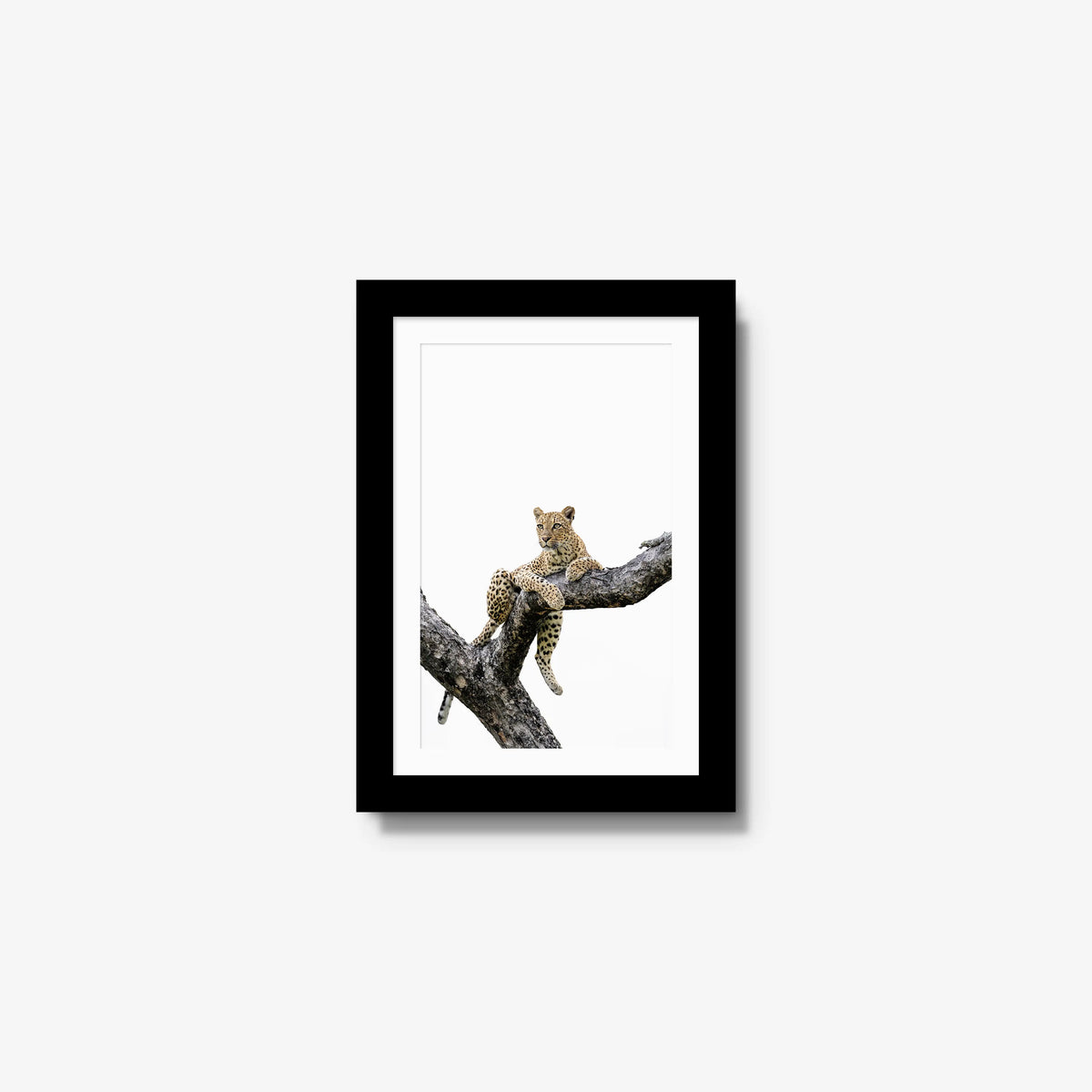 Counterbalance — mini / black / mat