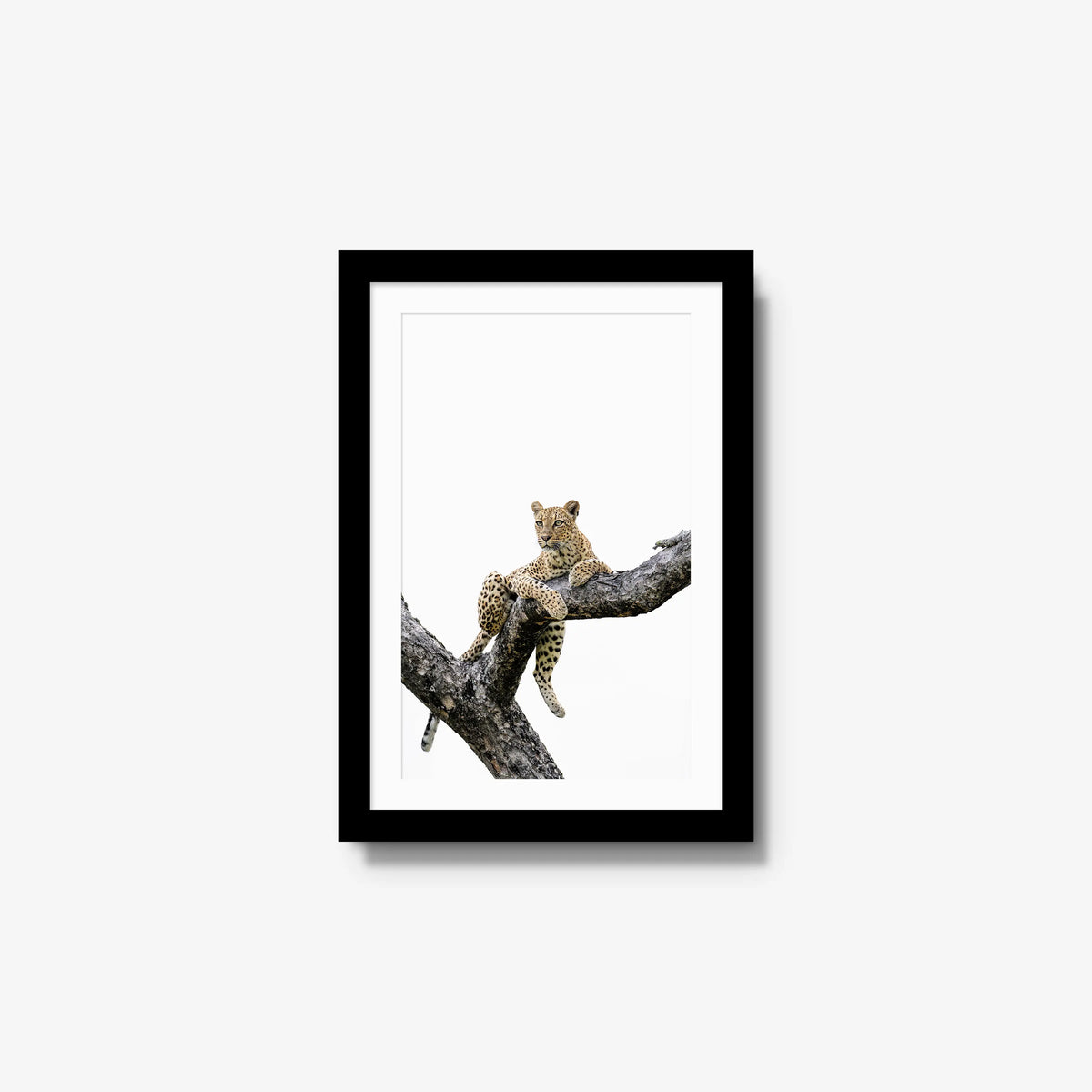 Counterbalance — small / black / mat
