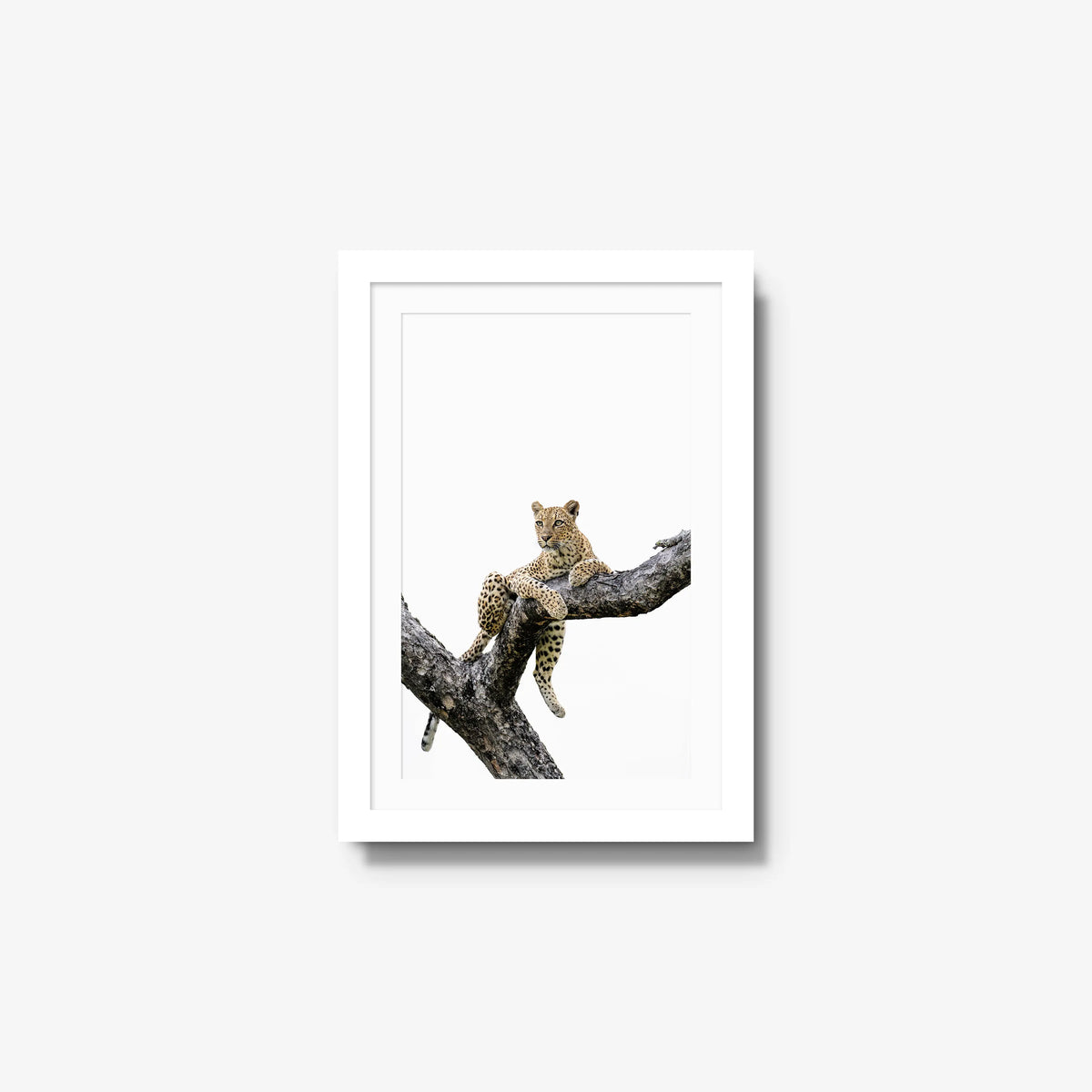 Counterbalance — small / white / mat