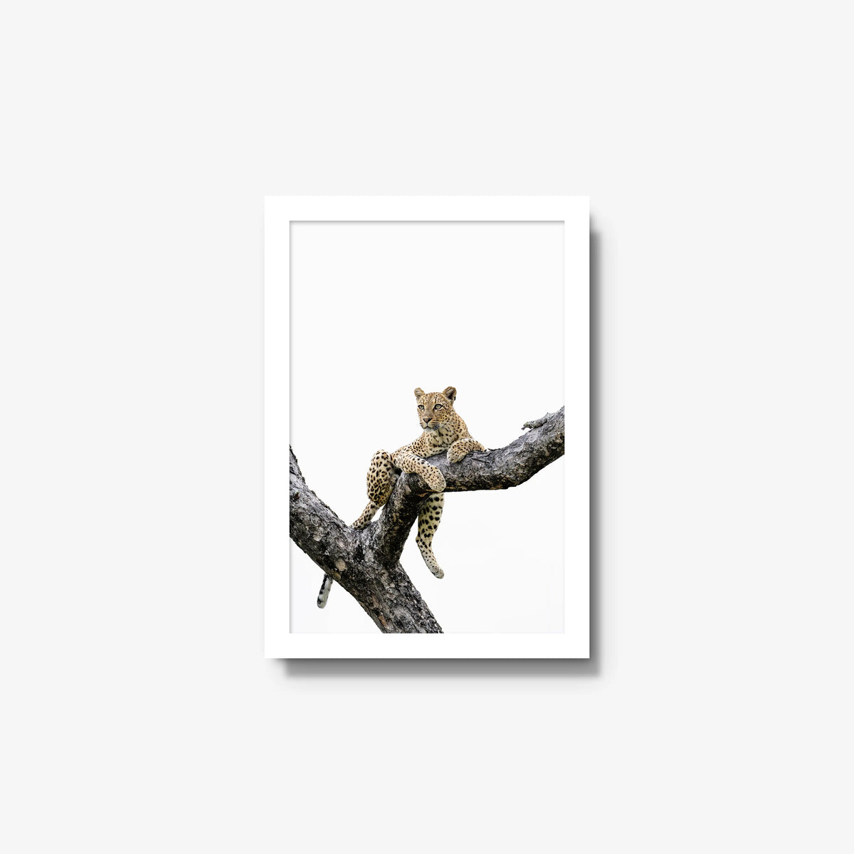 Counterbalance — small / white / full
