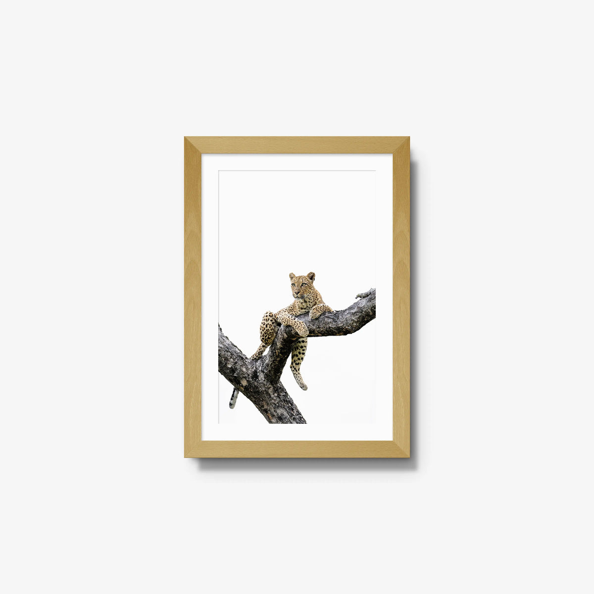 Counterbalance — small / natural / mat